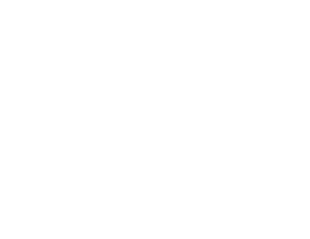 Modern Fortis